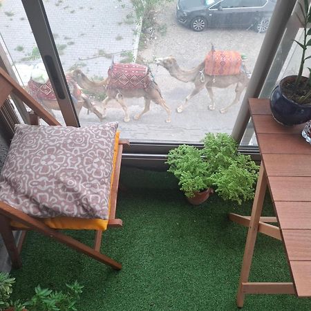 Azur Appartement 索维拉 外观 照片
