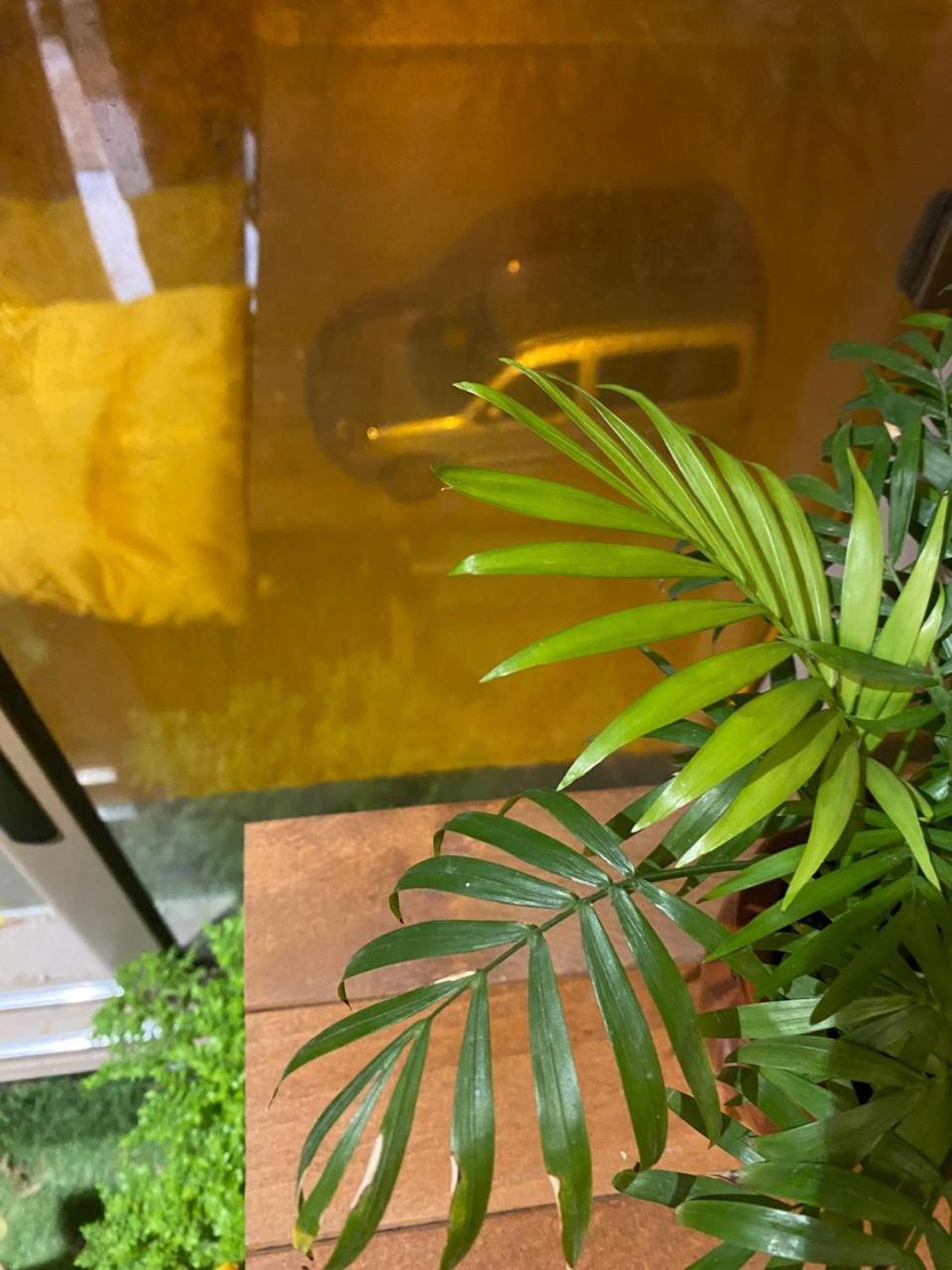 Azur Appartement 索维拉 外观 照片